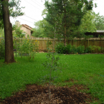 photo of the backyard, starting at the patio