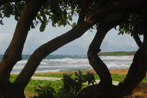 beach scene with rolling surf, blue water and blue skies